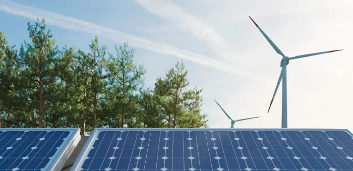 Todo lo que debes saber sobre las subastas de energía